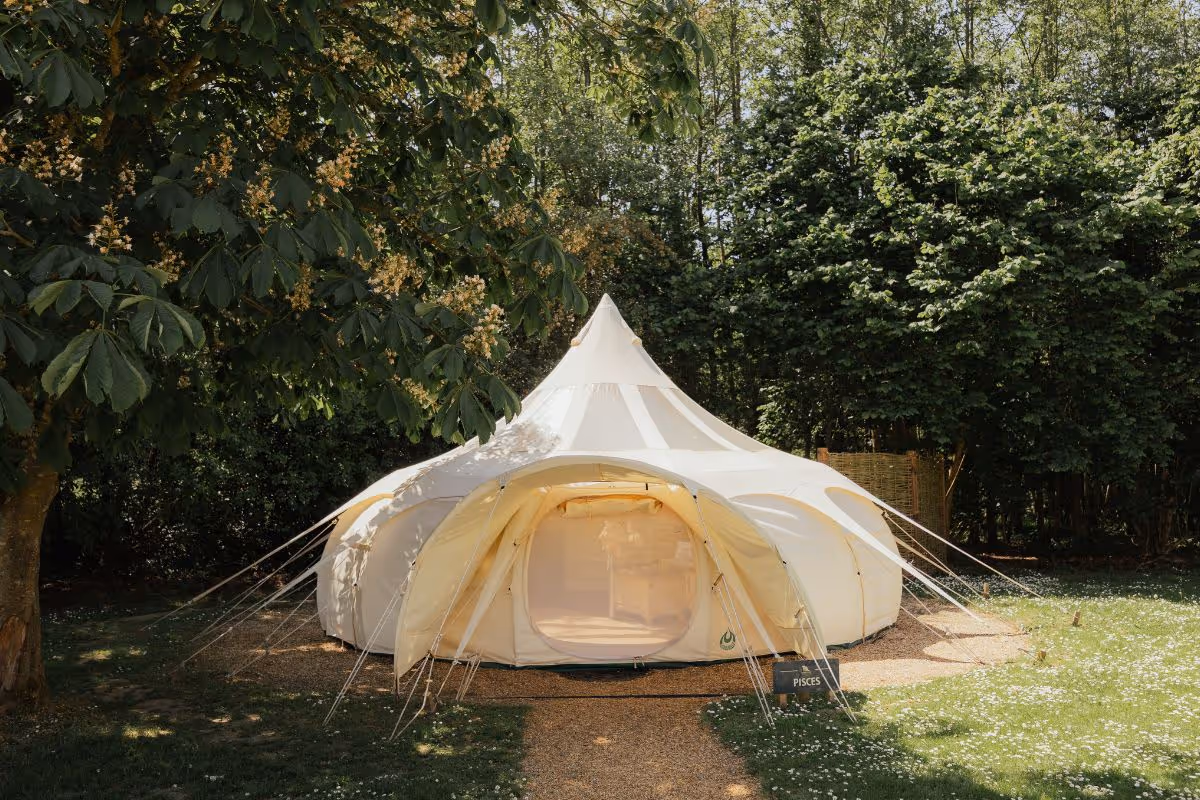 Stargazer bell tent with chestnut tree