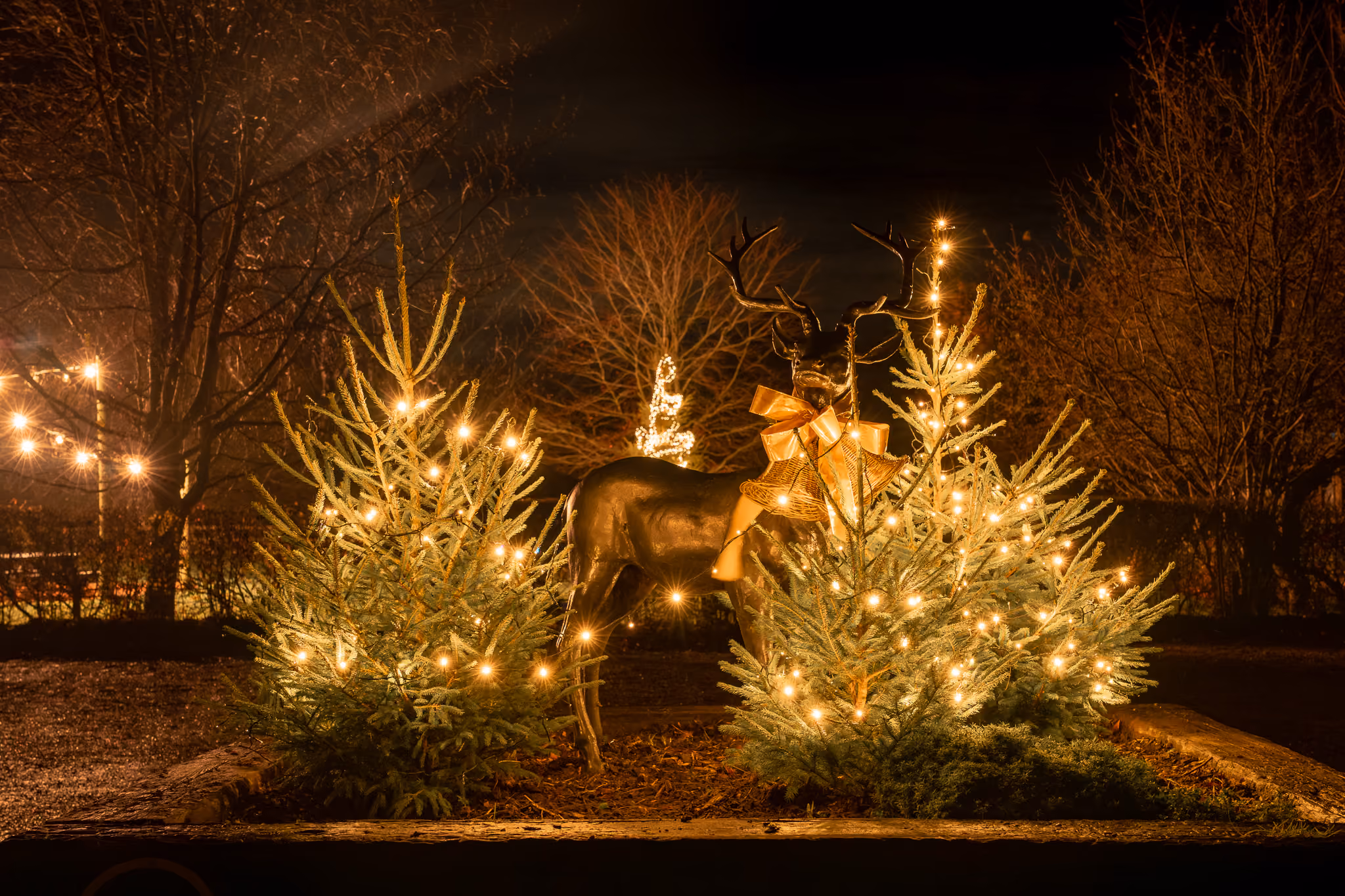 Deer's Glade Christmas Breaks