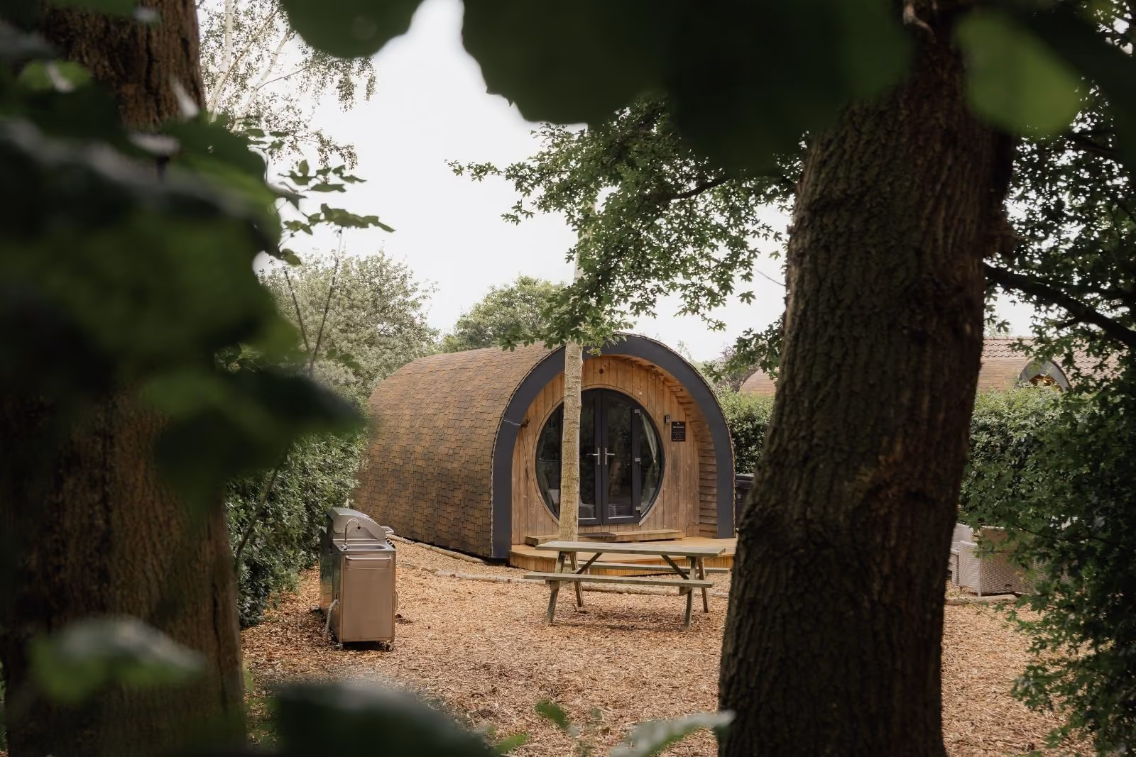 Woodland view glamping retreat through the trees
