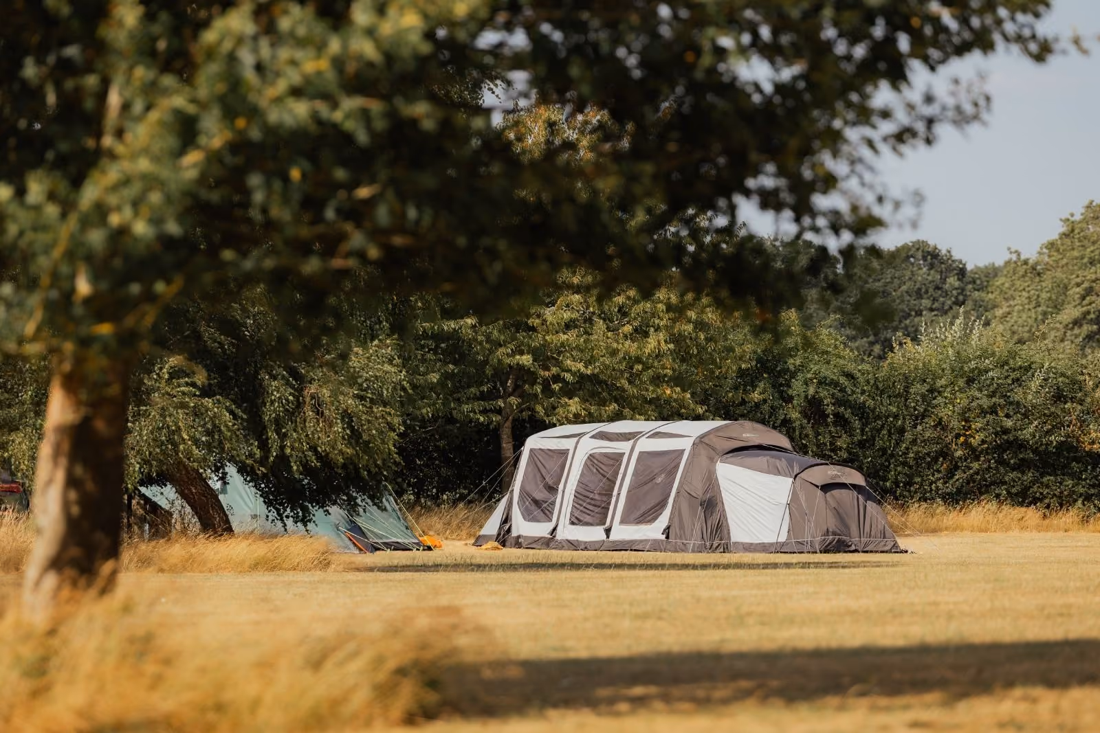 Munjac Meadow camping during the summer