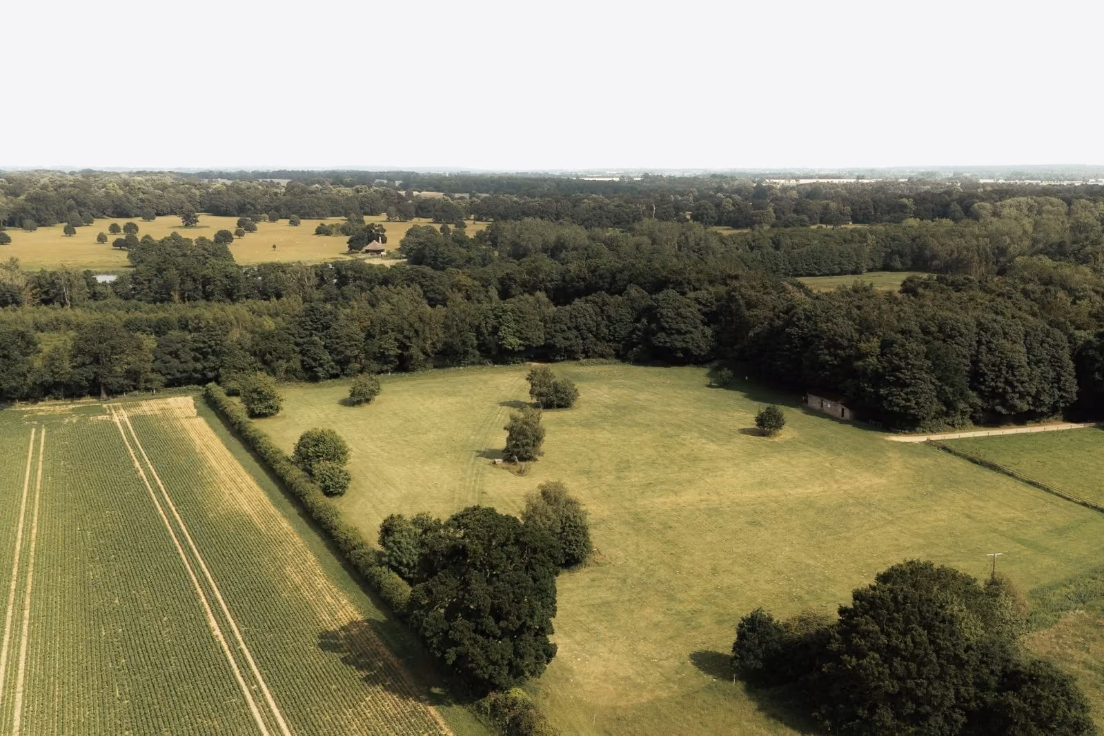 Muntjace Meadow in full