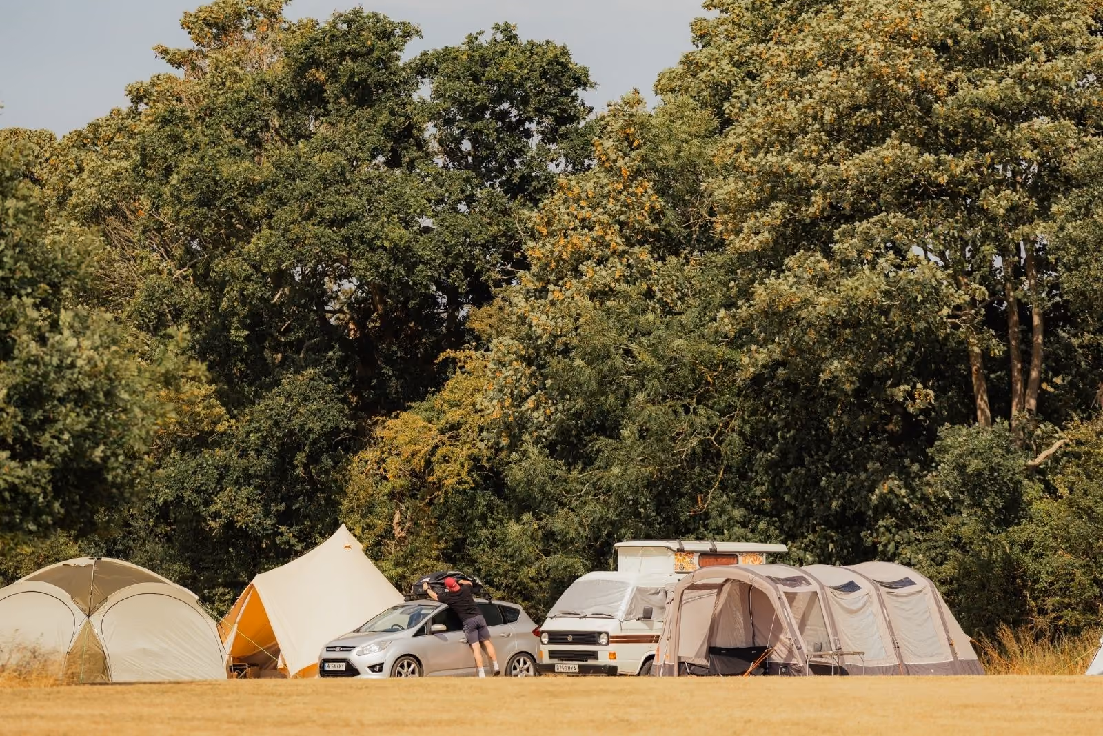 Guests camping at Muntjac Meadow