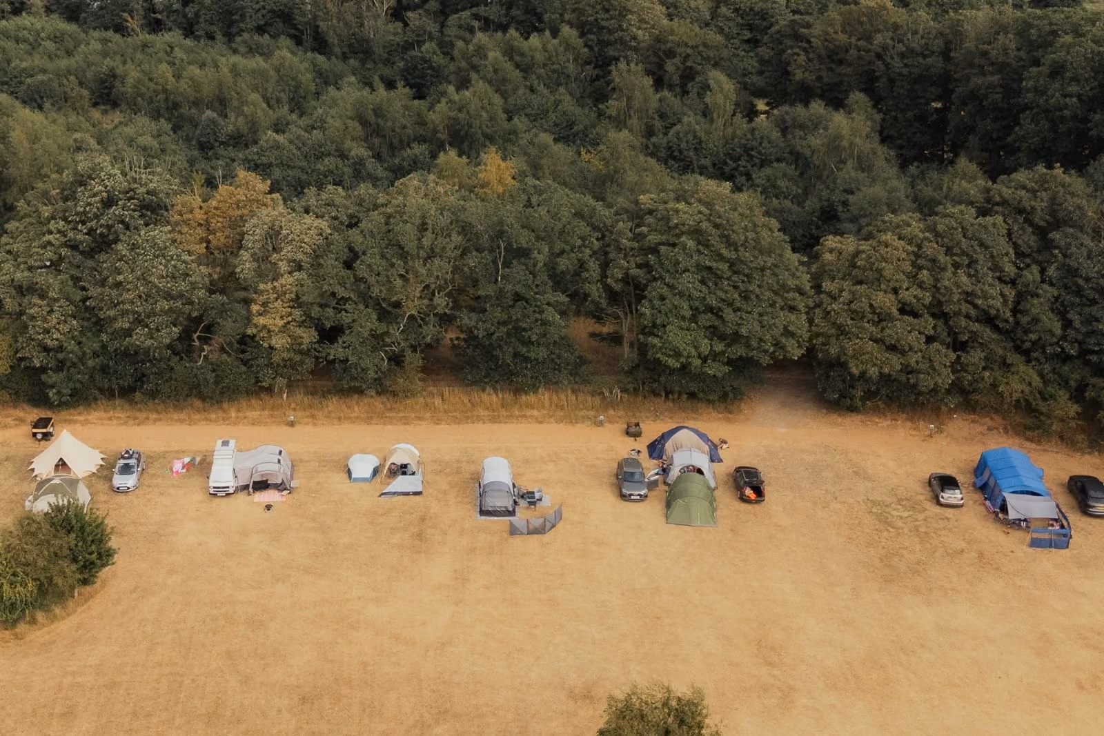 Camping pitches at Muntjac Meadow
