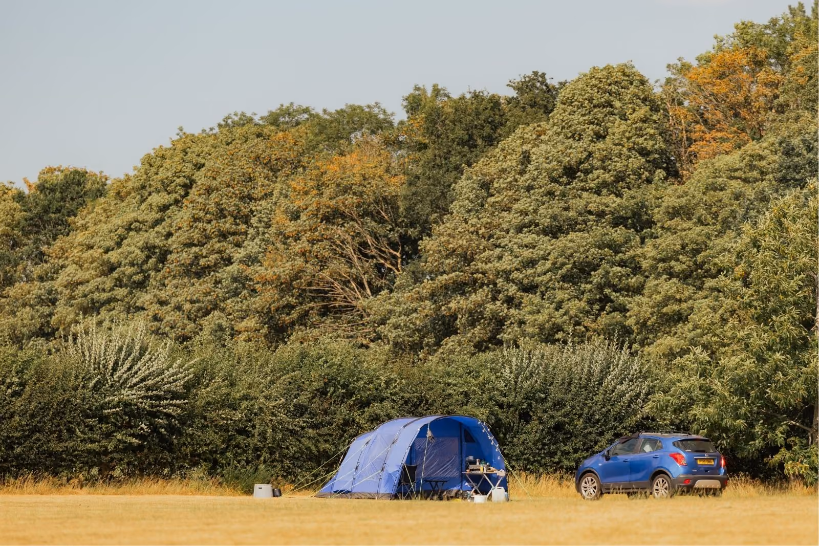 Muntjac Meadow wild camping