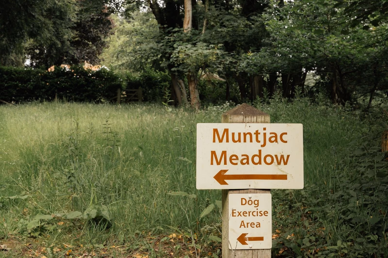 Muntjac Meadow sign