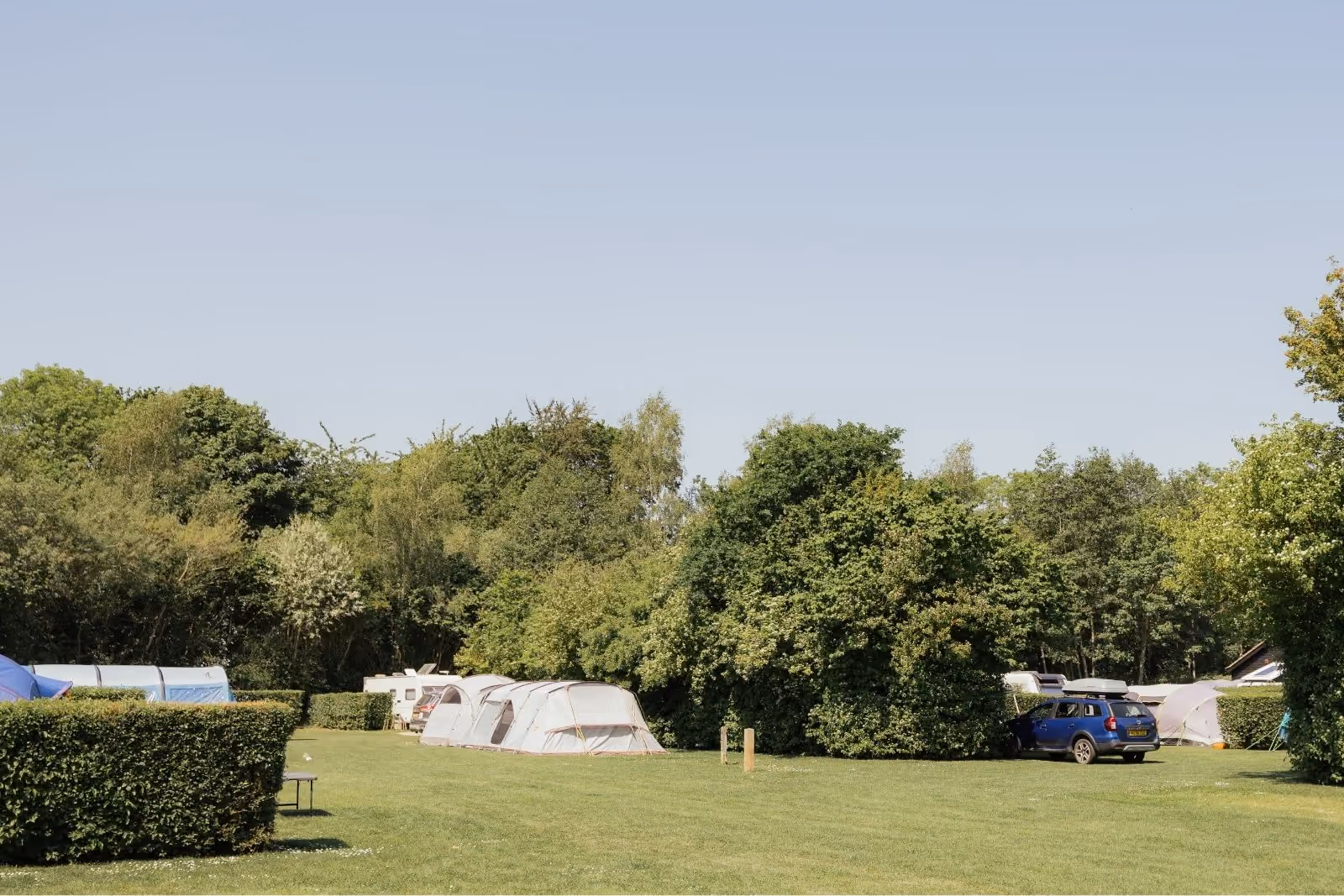 Deer's Glade Camping Pitches
