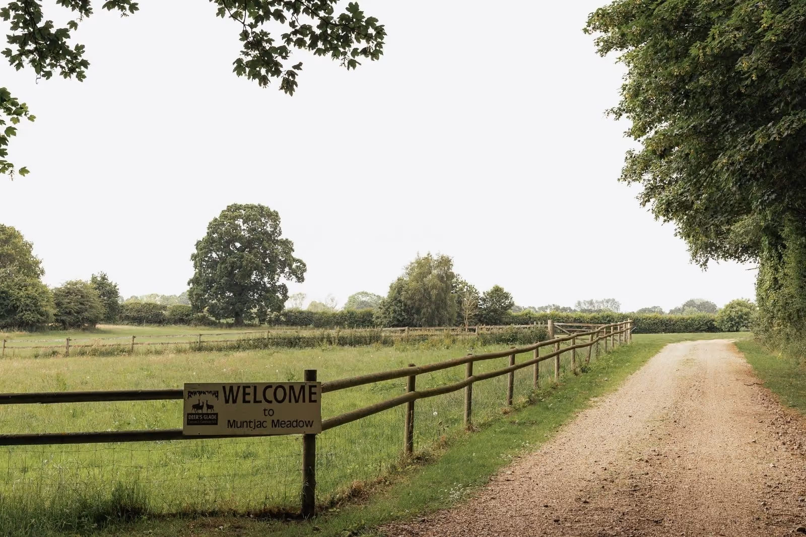 Entrance to the main Muntjac Meadow campsite