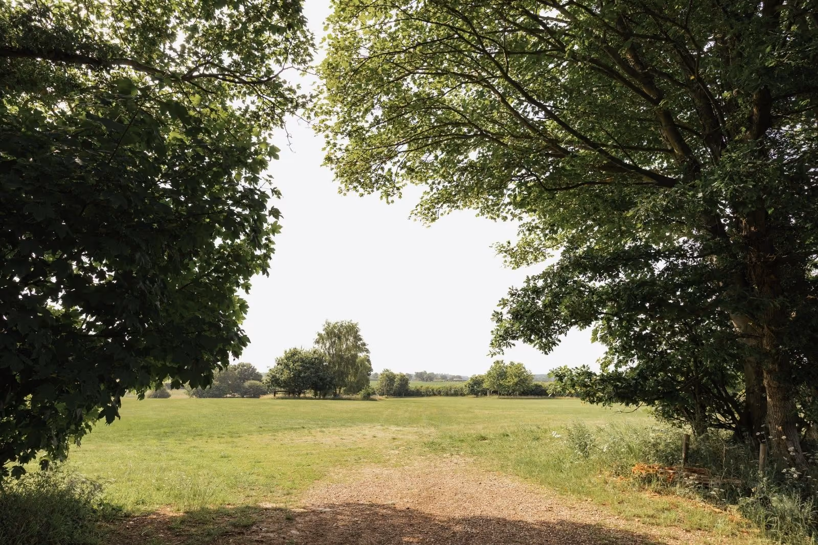 Caravan Rally field at Muntjac Meadow
