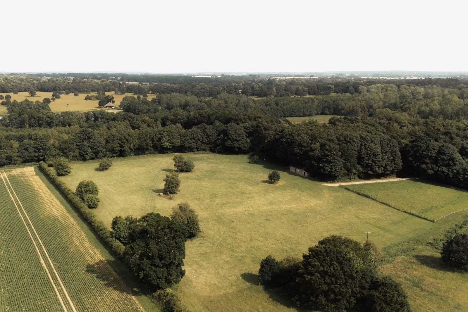 Wild camping at Muntjac Meadow