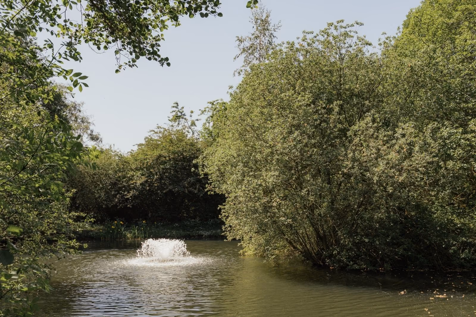 Deer's Glade fishing lake fountain