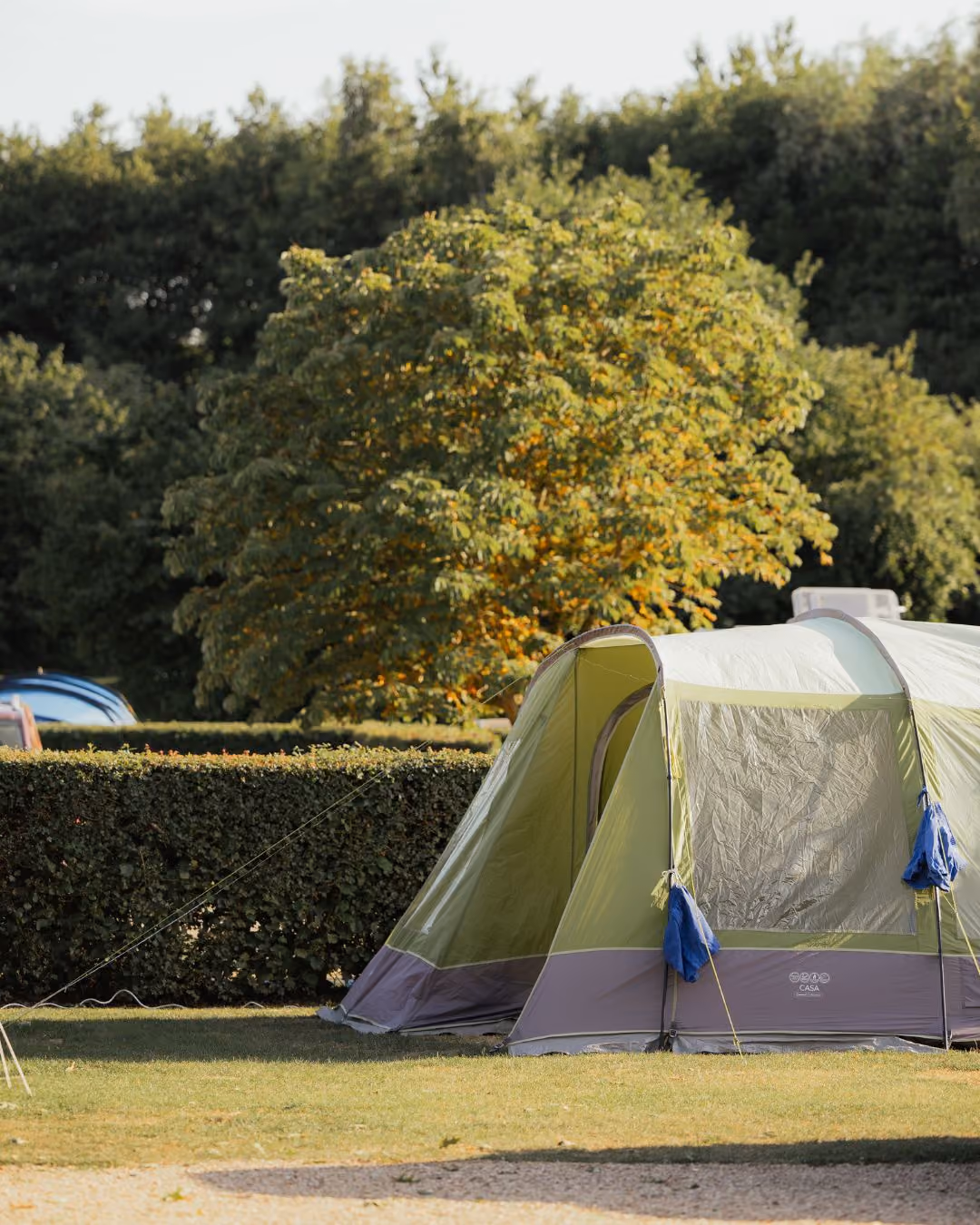Camping holidays at Deer's Glade campsite