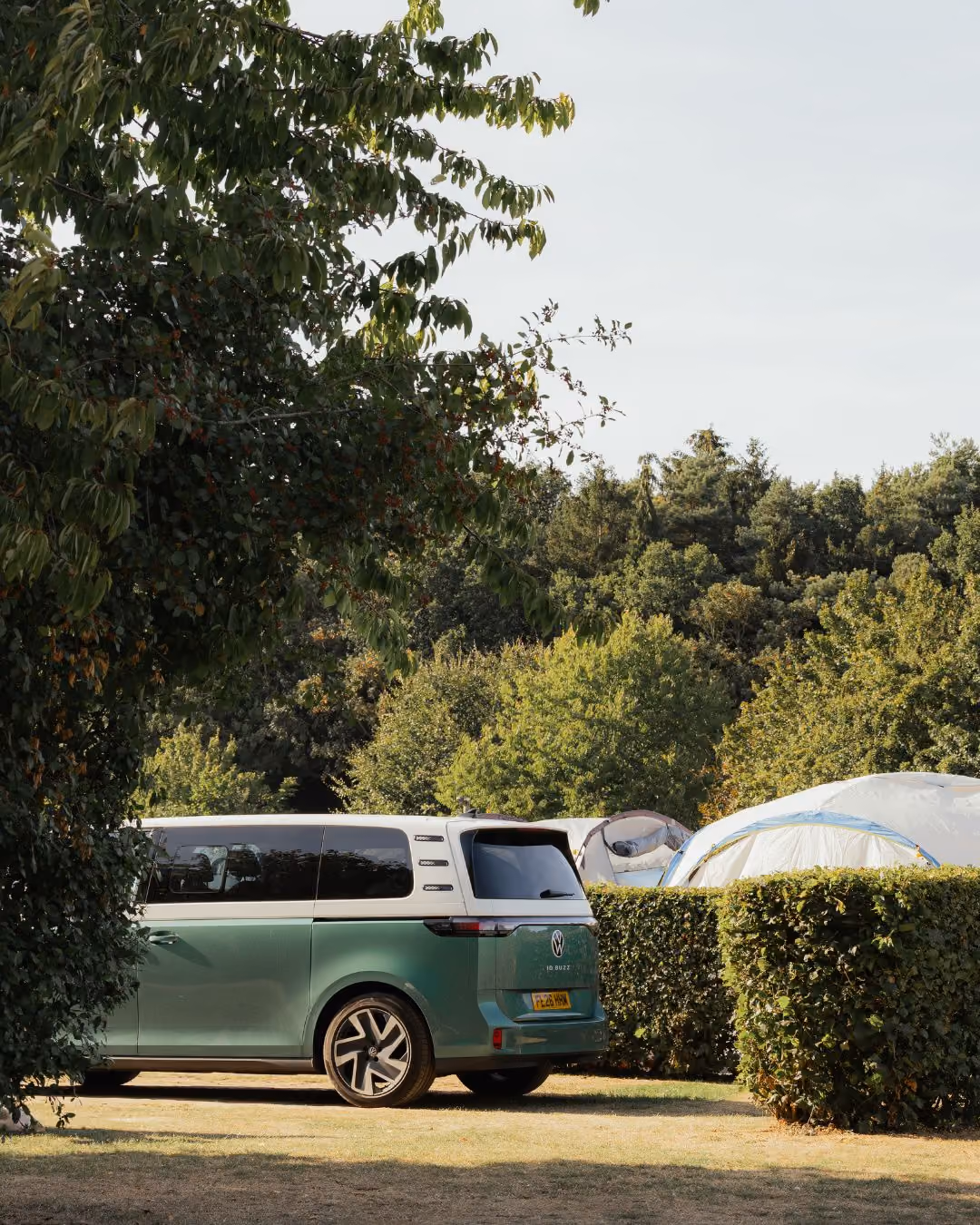 Campervan holidays at Deer's Glade campsite