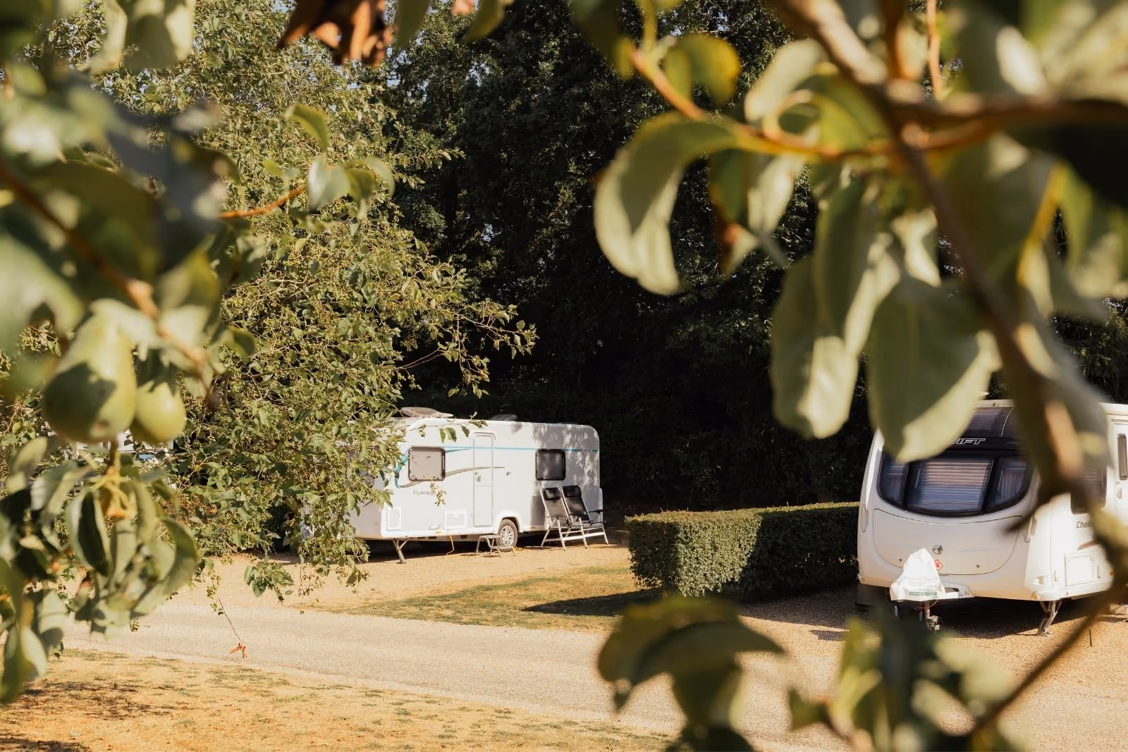 Camping and touring pitches at Deer's Mead