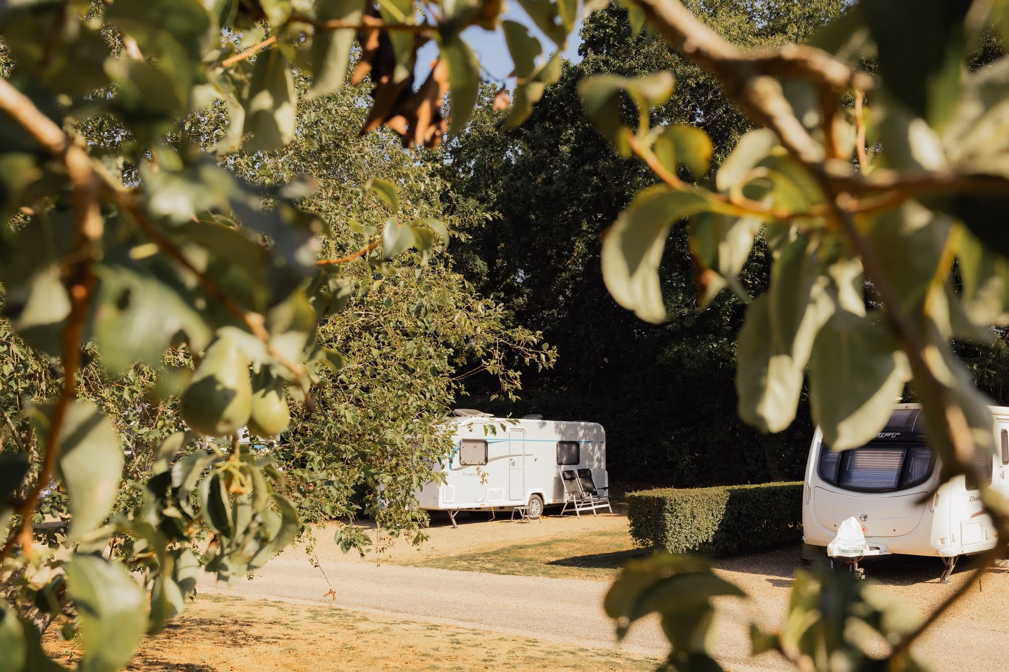 Caravans nestled among trees at Deer’s Mead.