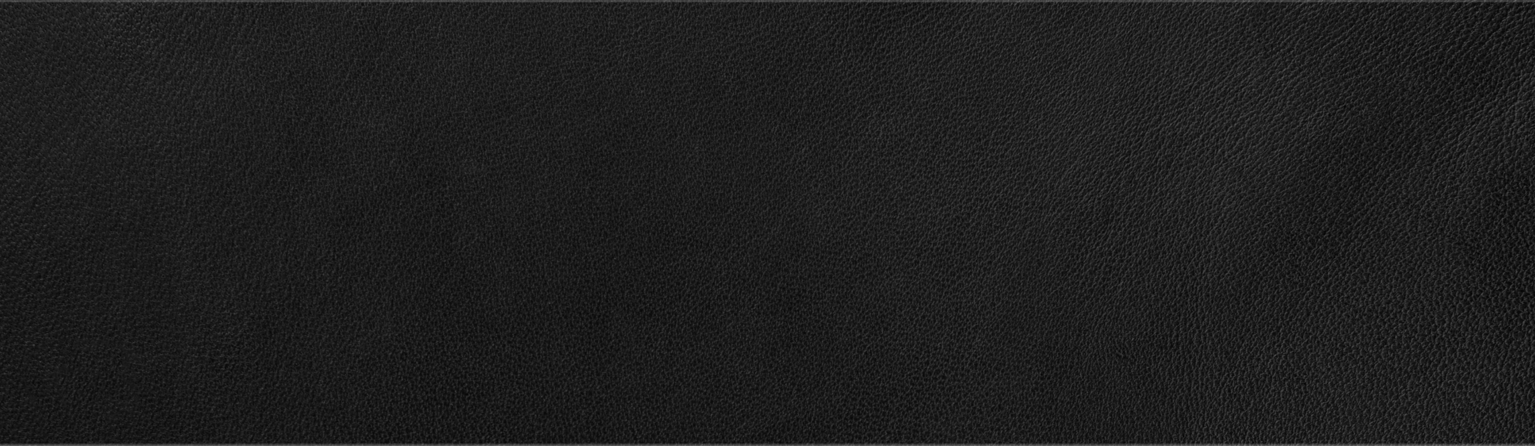 Pattern background ecosystème