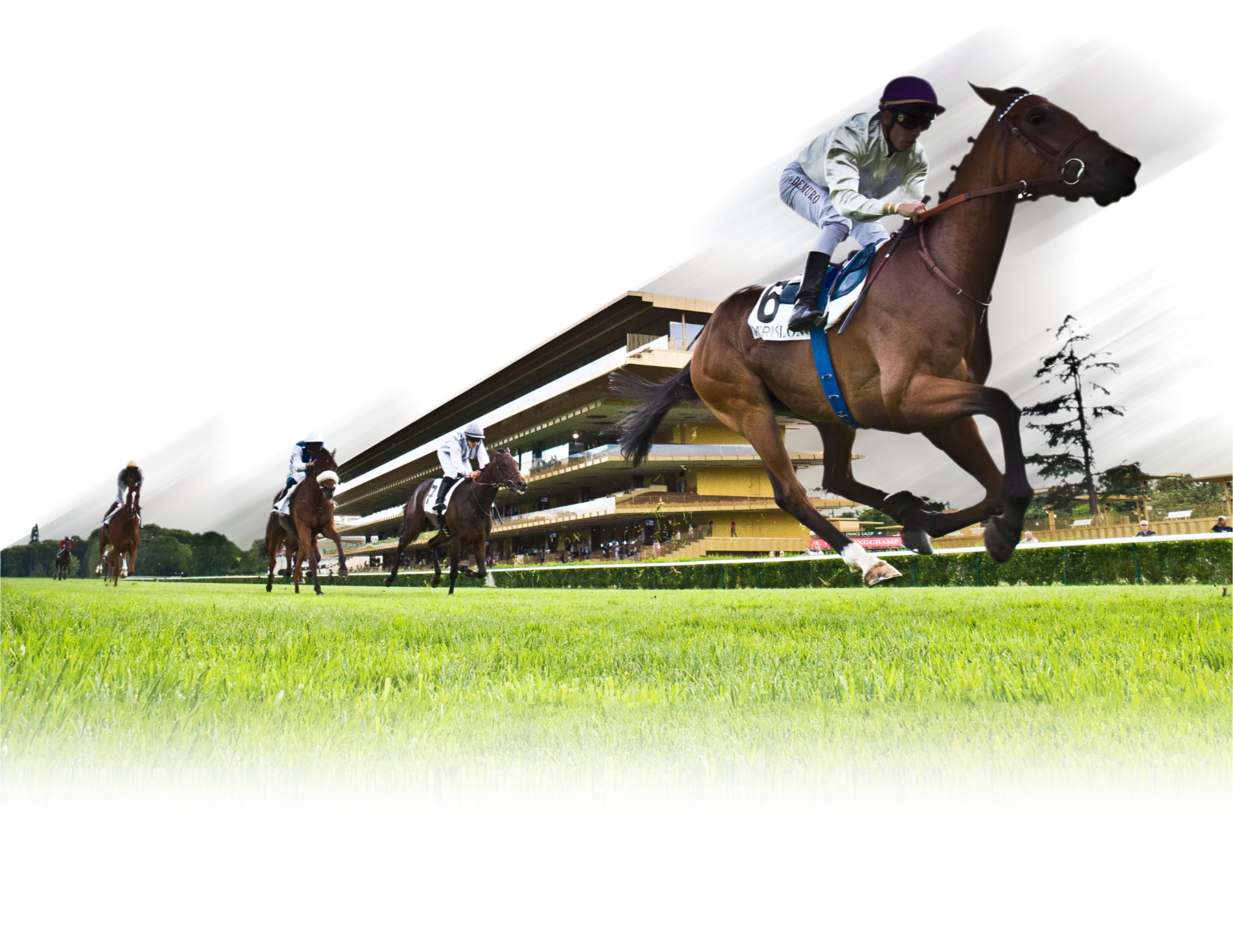 Background section datas updated