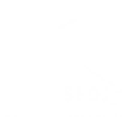Logo SEDJ