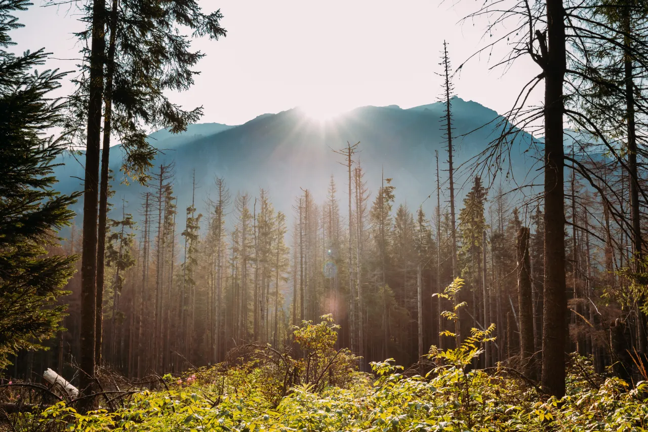 Górskie szlaki w Polsce