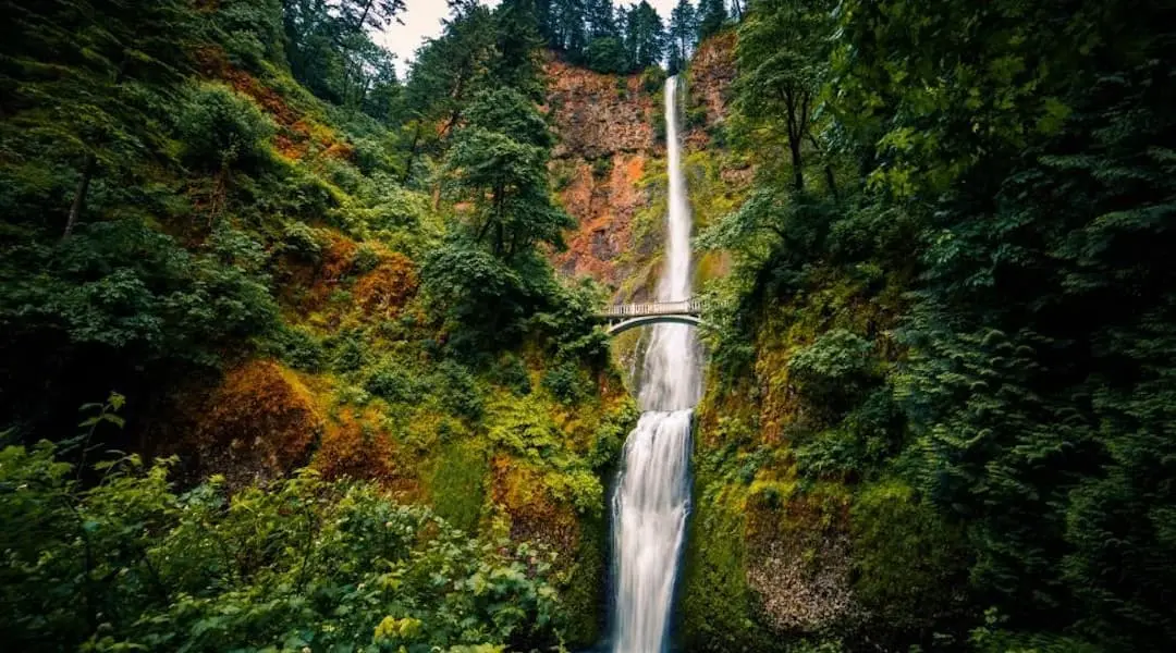 Oregon landscape featuring Multnomah Falls, a tall waterfall flowing through dense forest with a pedestrian bridge.