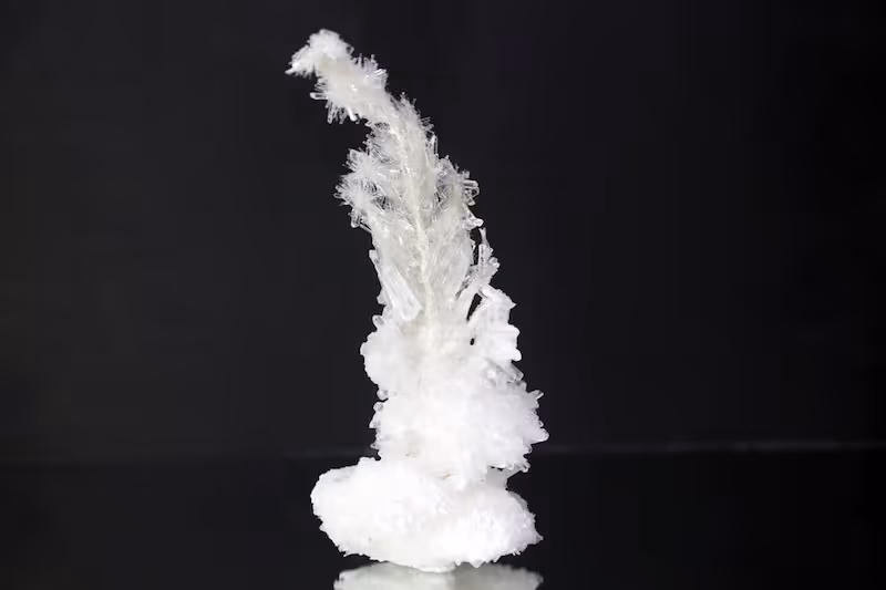 Bone I, 2019