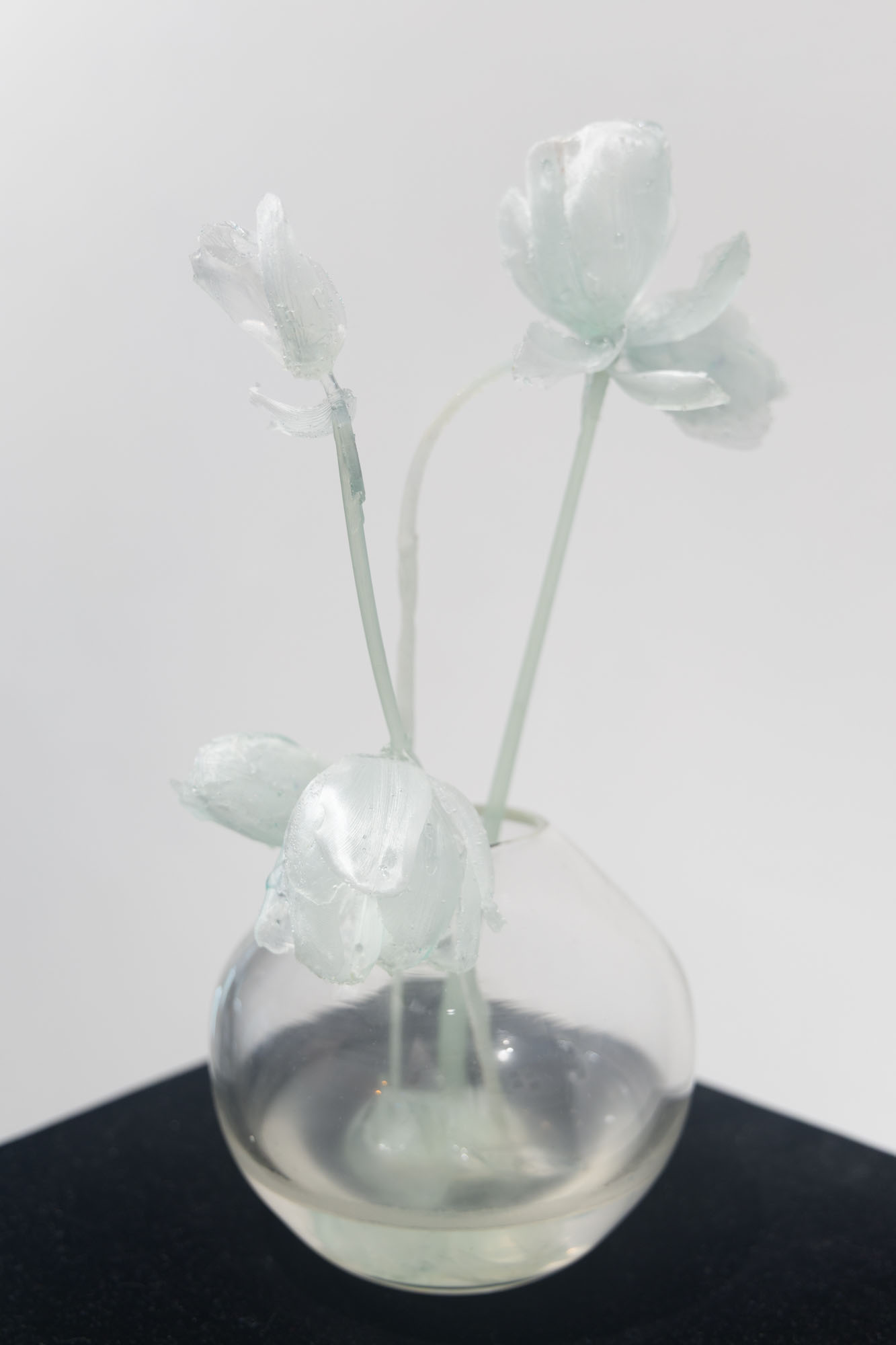 Photography by Andrew Schwartz