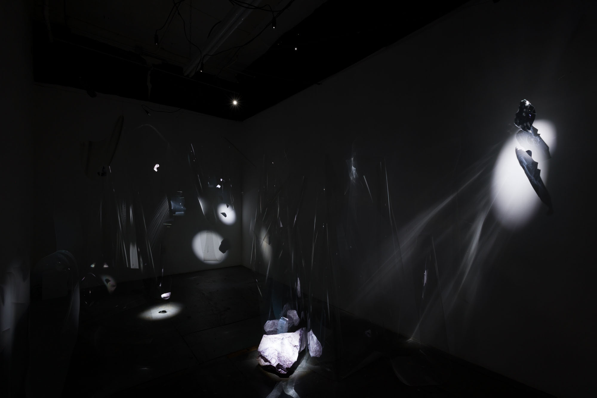 Photography by Andrew Schwartz