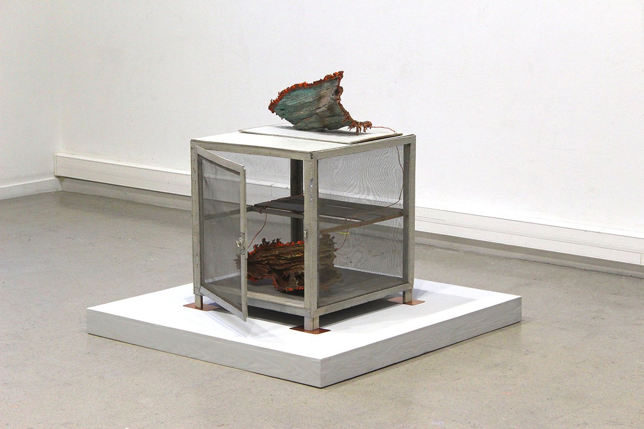 Xylella Fastidiosa, Electrotype copper, wood, steel mesh, 2023, 30.3 x 47.2 x 47.2 inches