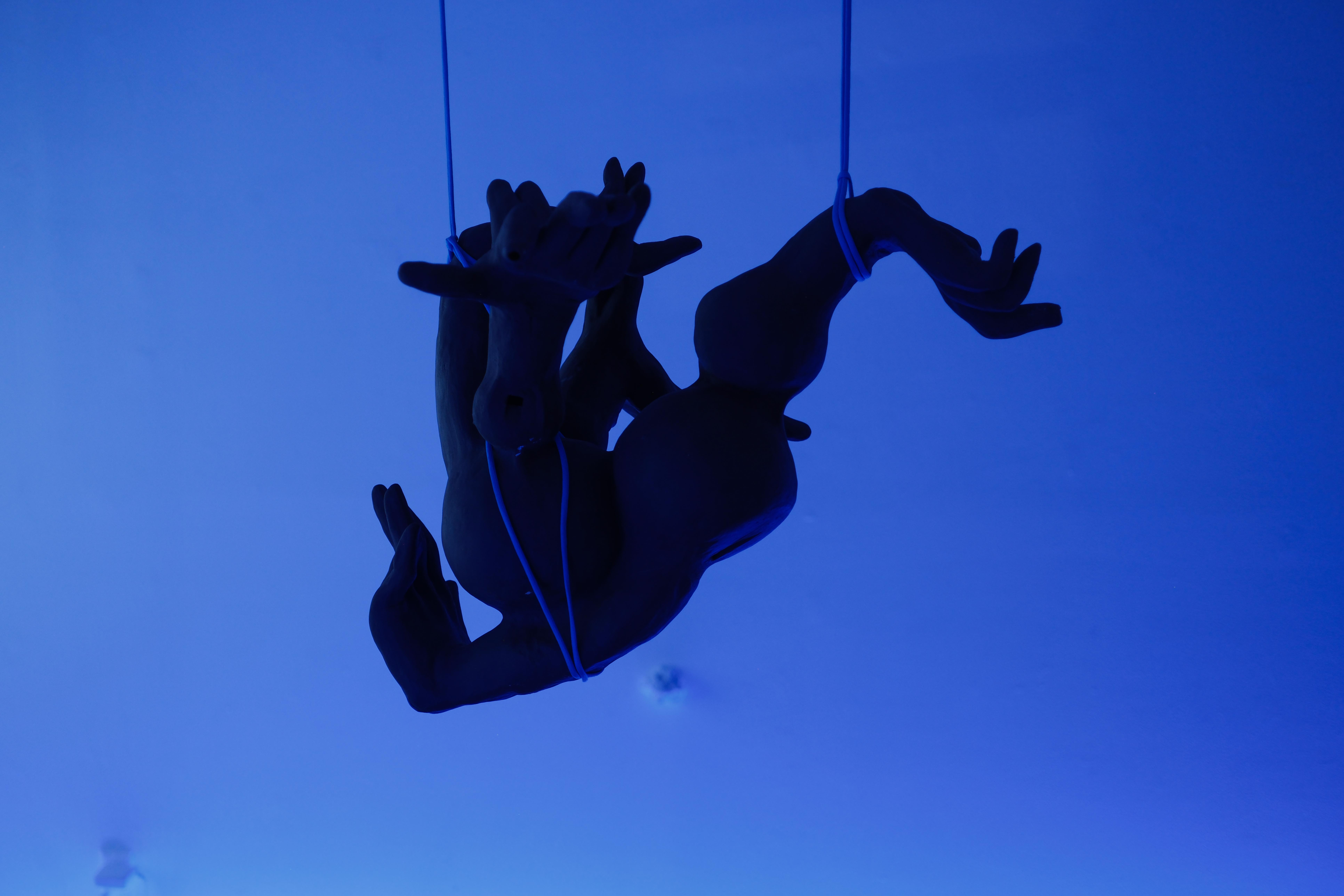 Constanza Alarcón Tennen, Sudamericana tiene memoria del aire, October 10–November 5, 2025, NARS Foundation, New York. Photo: Cristóbal Cea.