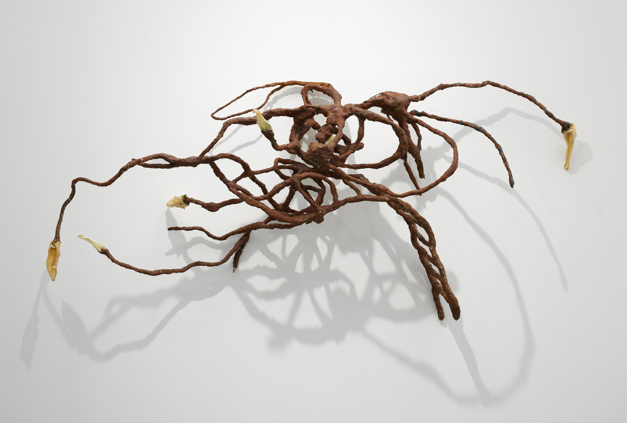 Photographed by KC Crow Maddux.