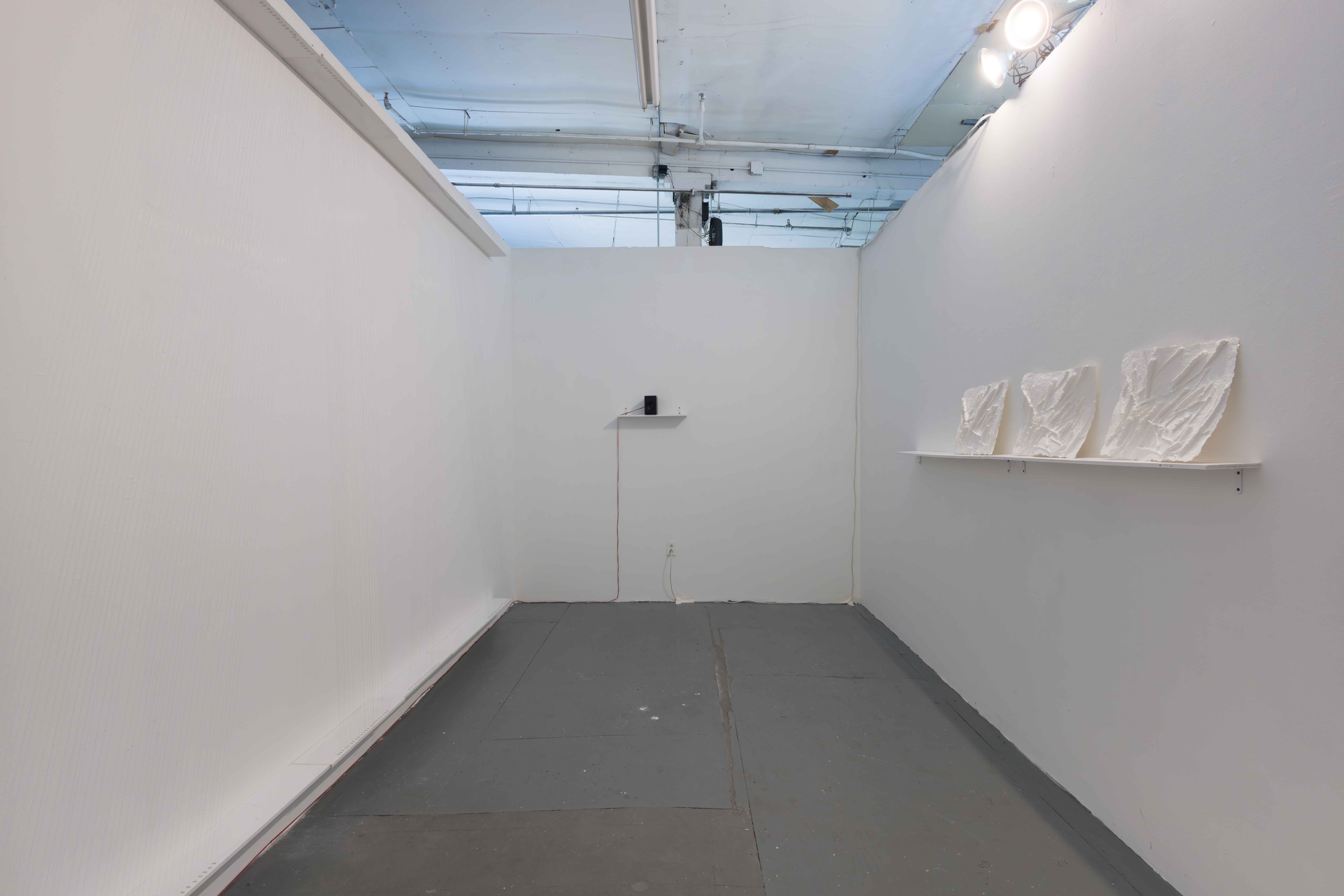 Photographed by Andrew Schwartz.