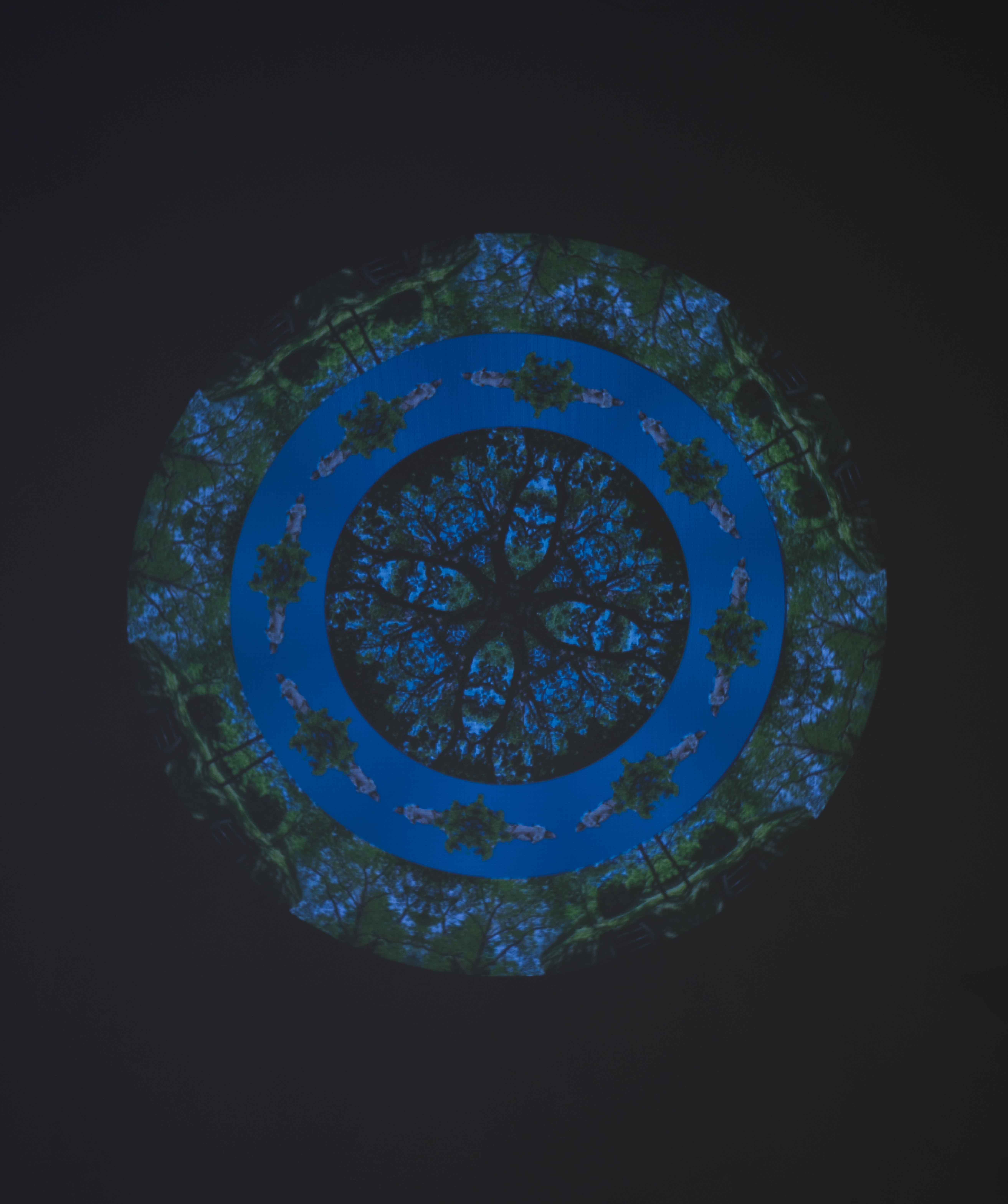 Photographed by Andrew Schwartz.