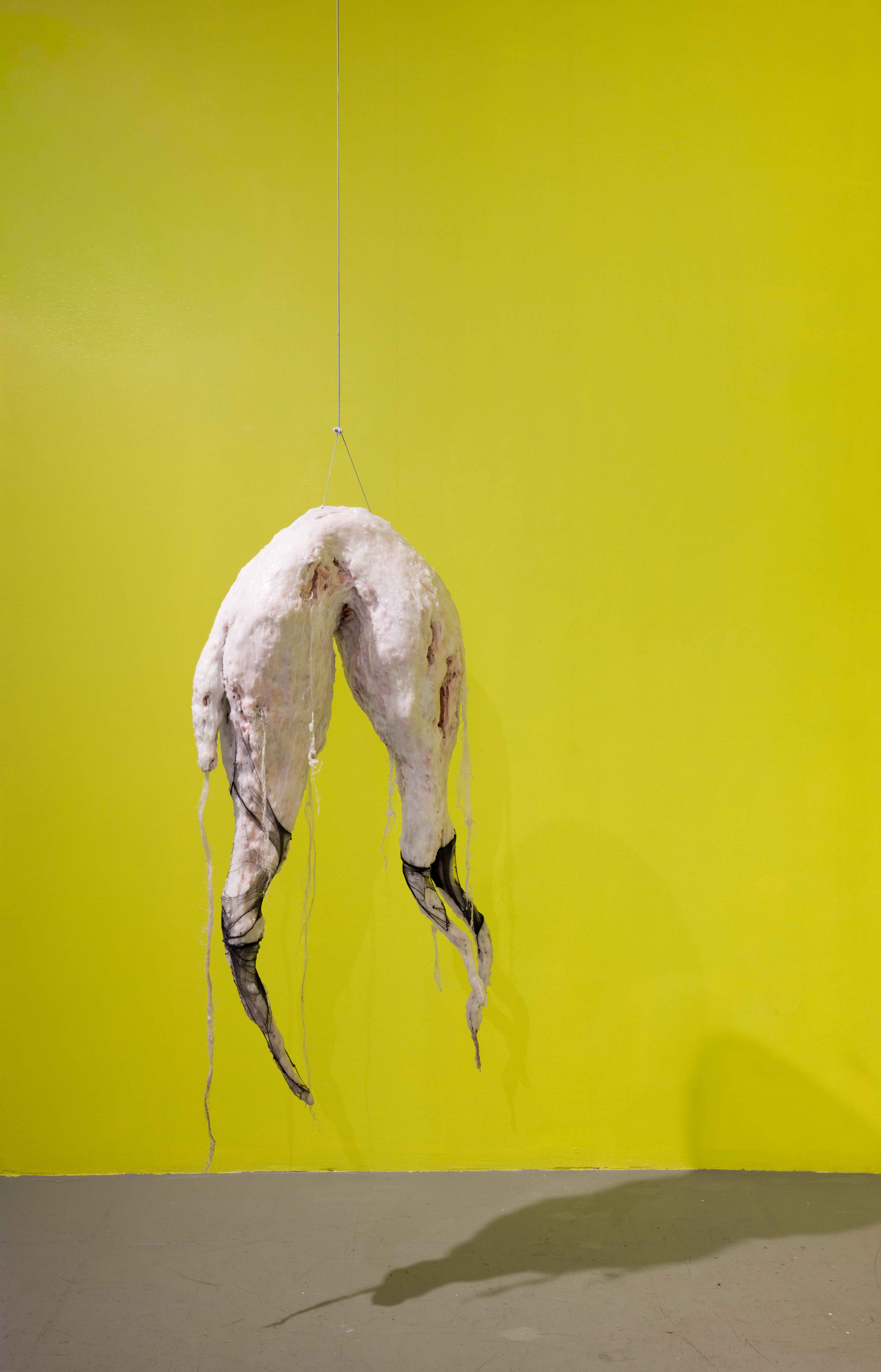 Photographed by Andrew Schwartz.