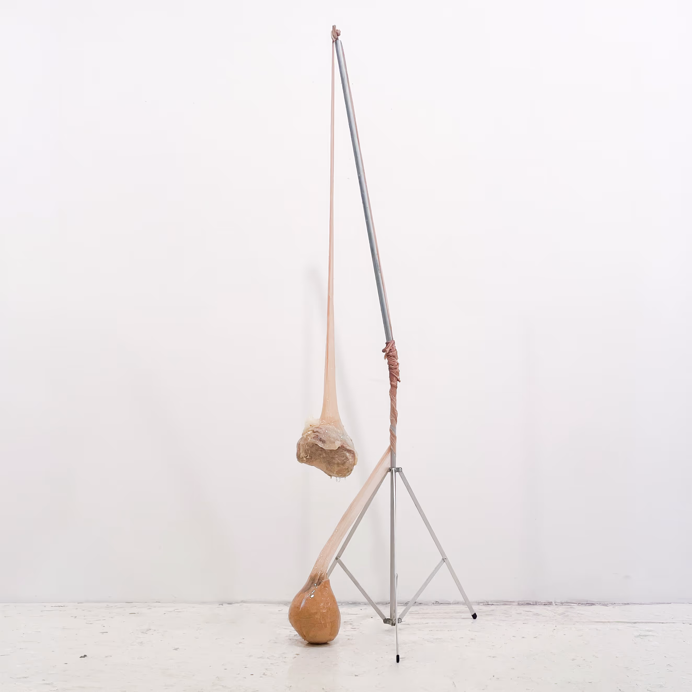 Erika Choe, 'straight from my throat, my pancreas, my uterus', 2025, Mixed-media Sculpture, Resin, latex, nylon, metal, ceramic, wire, recycled paper, 66x25x25".