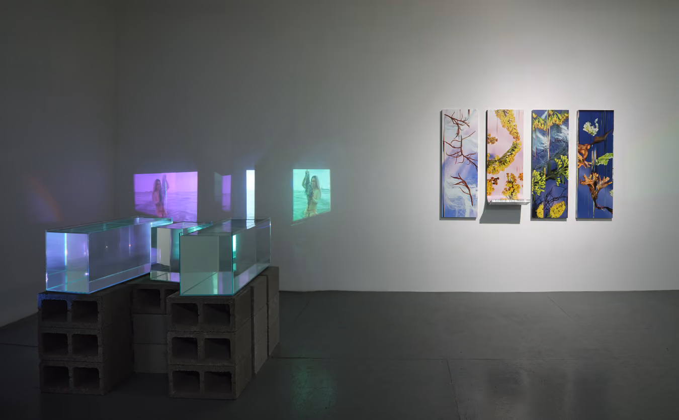 Photographed by KC Crow Maddux Chromatics Studio NYC (https://www.artdocnyc.com/). Made with fabrication support through Powerhouse Arts’ 2026 Artist Subsidy Program (https://powerhousearts.org/).