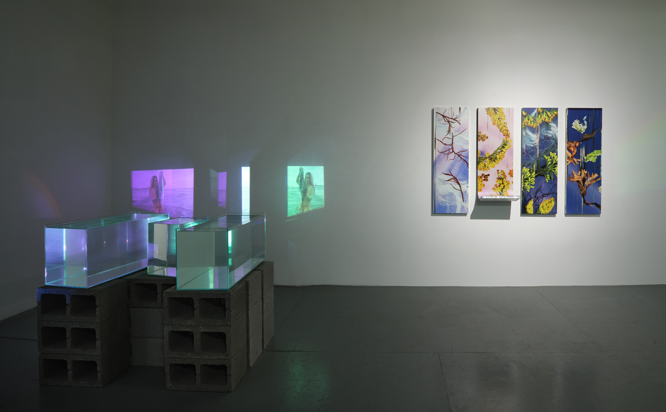 Photographed by KC Crow Maddux Chromatics Studio NYC (https://www.artdocnyc.com/). Made with fabrication support through Powerhouse Arts’ 2026 Artist Subsidy Program (https://powerhousearts.org/).