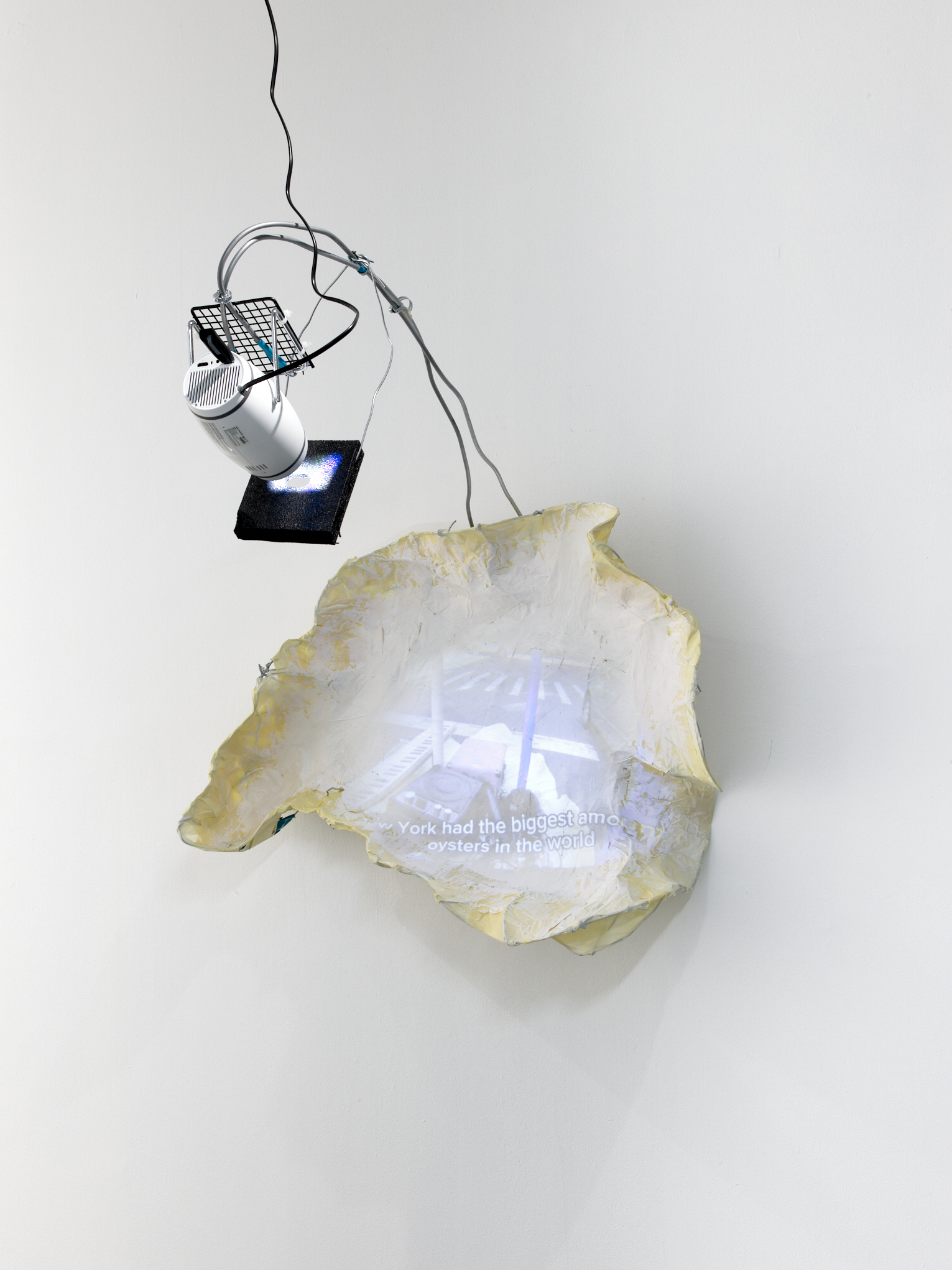Rowan Van As, Oyster Projection, 2026.Photographed by Max Yawney.