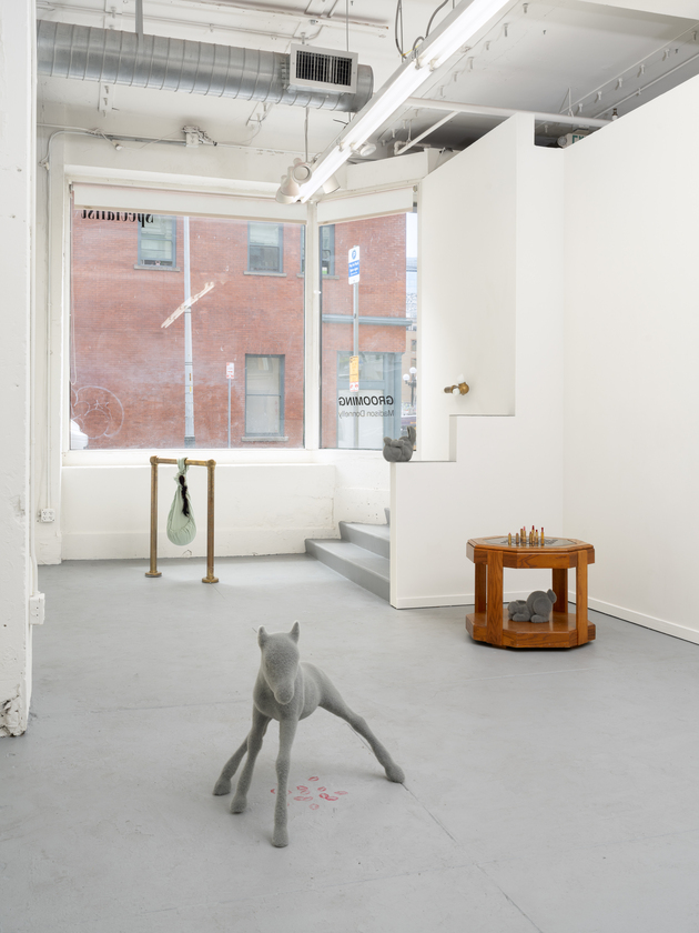 Madison Donnelly, 'GROOMING (exhibition  install)', 2026