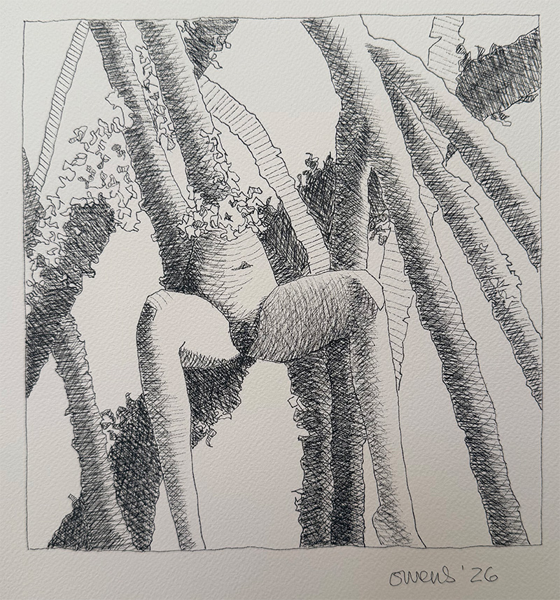 Ruth Owens, 'Congregation', 2026, Ink on paper, 8.25” x 8”
