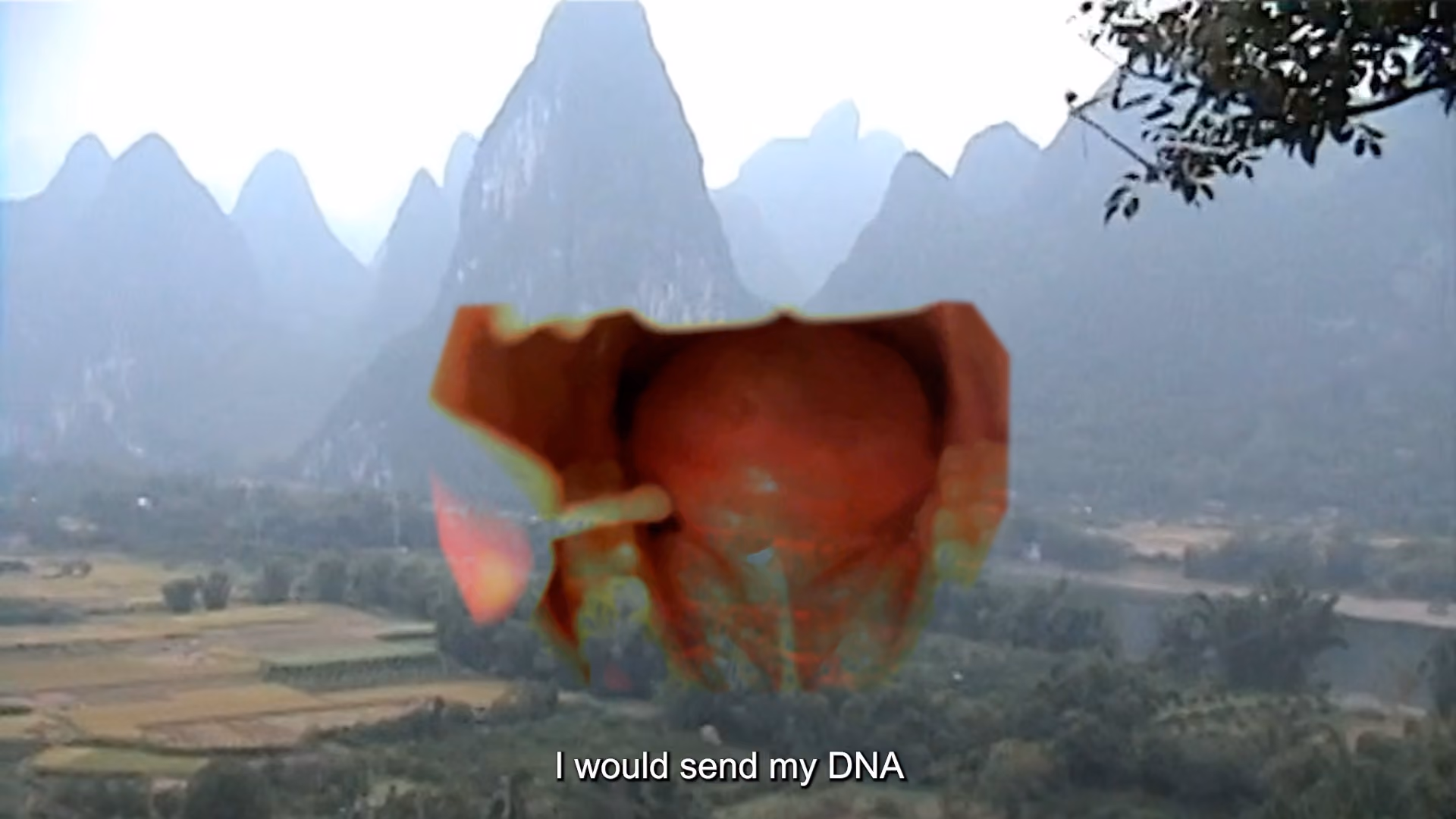 Colby Lamson-Gordon, I can see the moon, and sometimes I wonder, 2025: a video still of a red mouth-like form over a misty landscape of mountains, captioned I would send my DNA.
