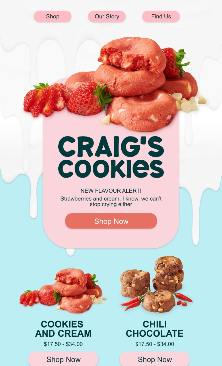 Proposal design for Craig's Cookies, Toronto, email marketing design 3. Email design