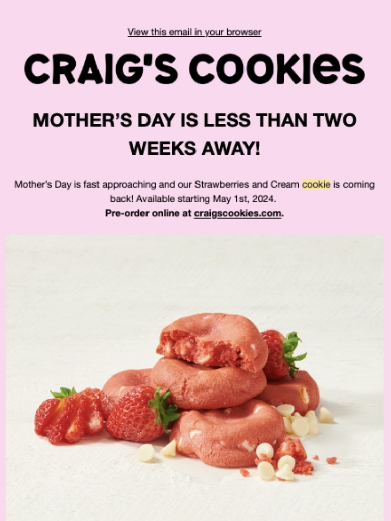 Existing email marketing campaign for craig's cookies
