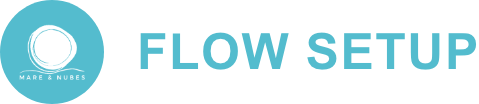Flow setup