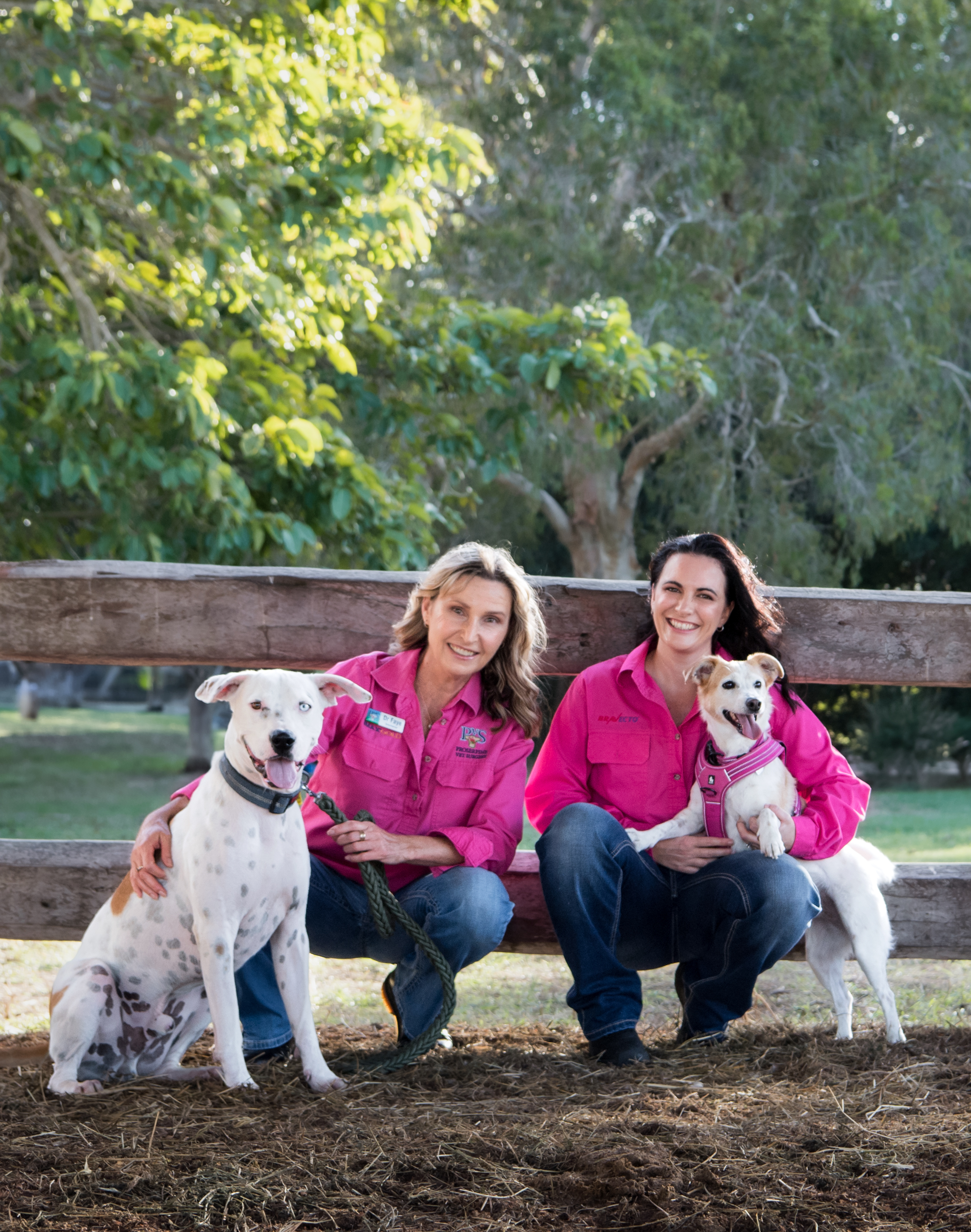 Proserpine Vet Surgery Celebrates 50 Years Young