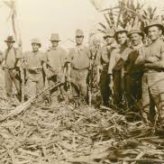 100 YEARS OF ADVOCACY