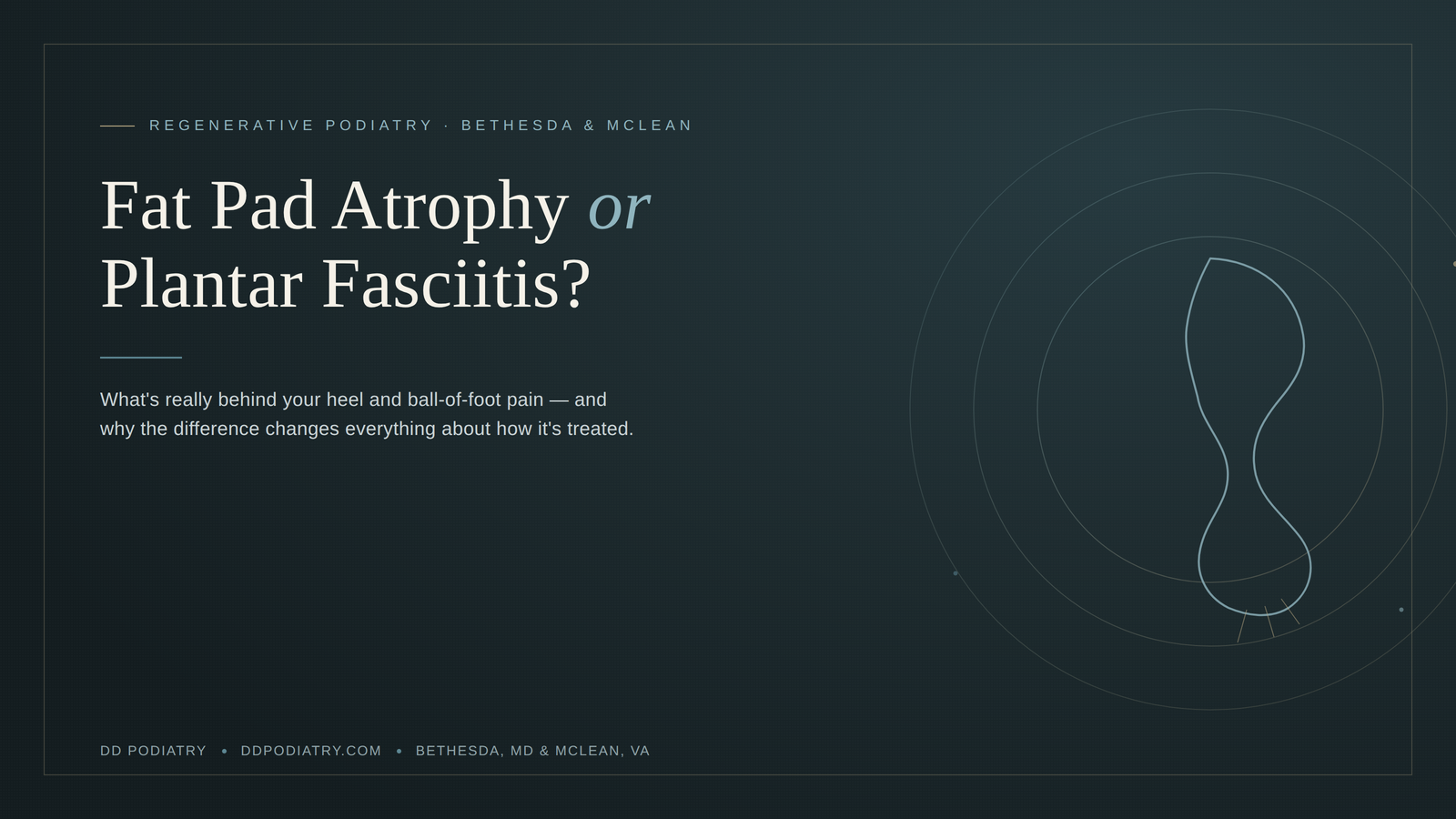 Fat pad atrophy or plantar fasciitis - DD Podiatry Bethesda and McLean article header