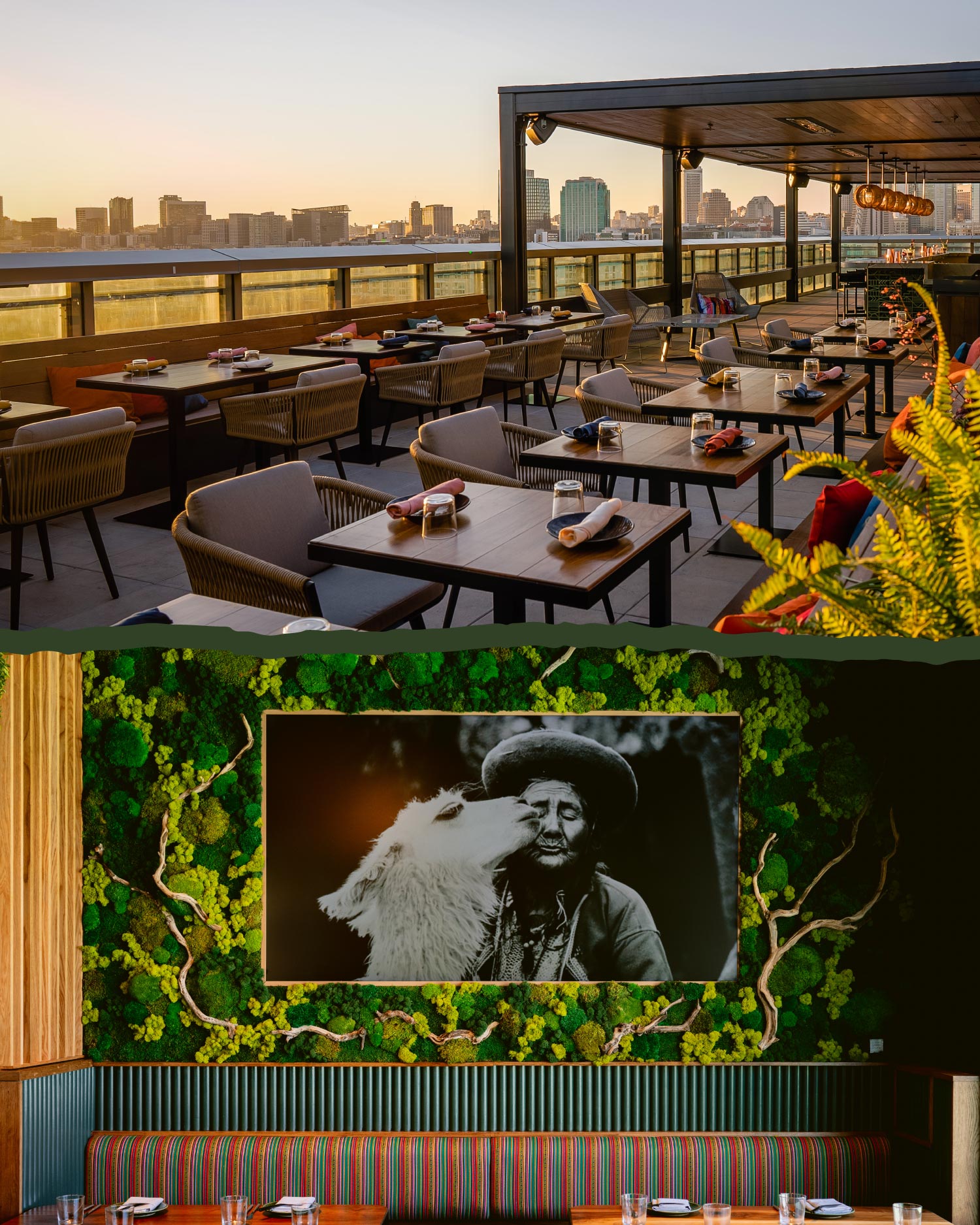 a restaurant dish of grilled octopus tentacles and squash sitting on a black plate with a Japanese fan in the background