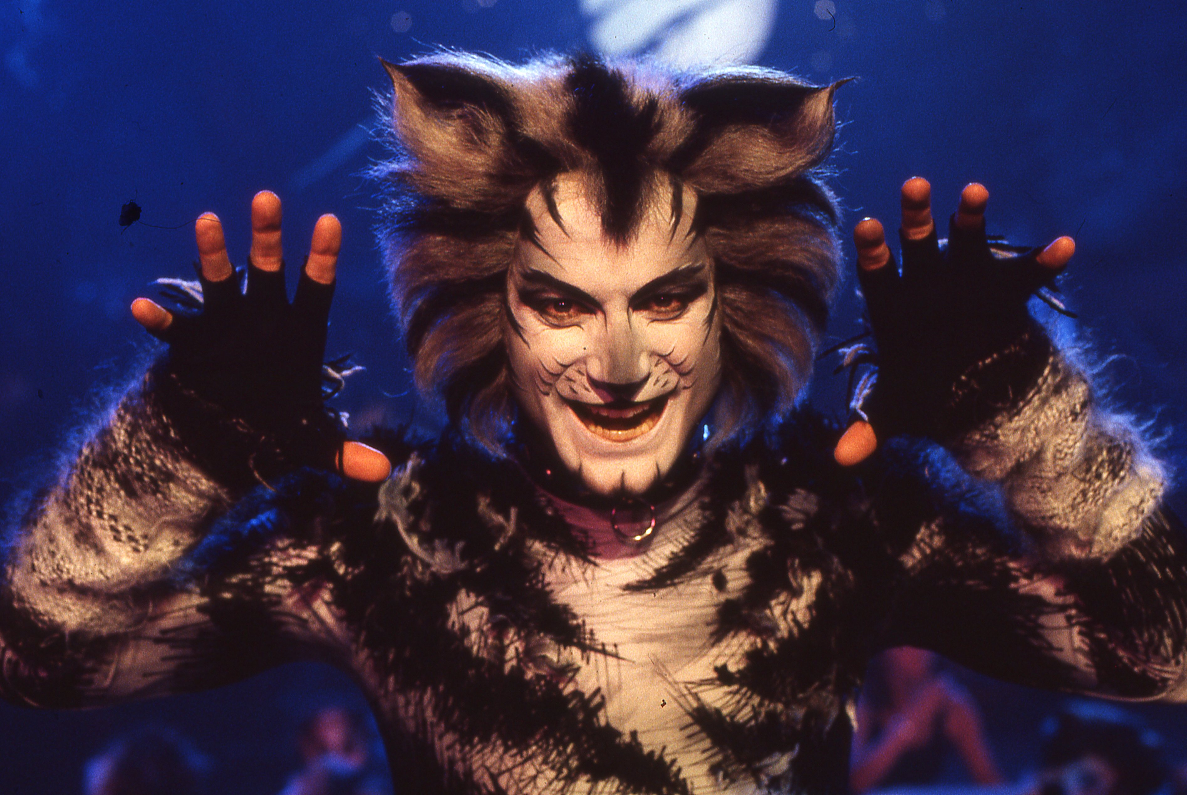 Cats Andrew Lloyd Webber Musicals Cats Andrew Lloyd Webber Musicals