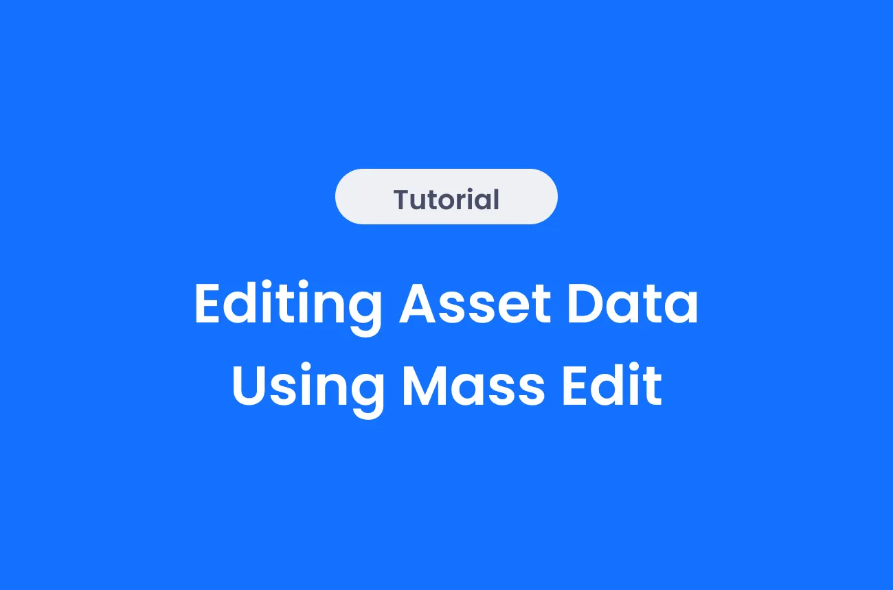 Editing Asset Data Using Mass Edit