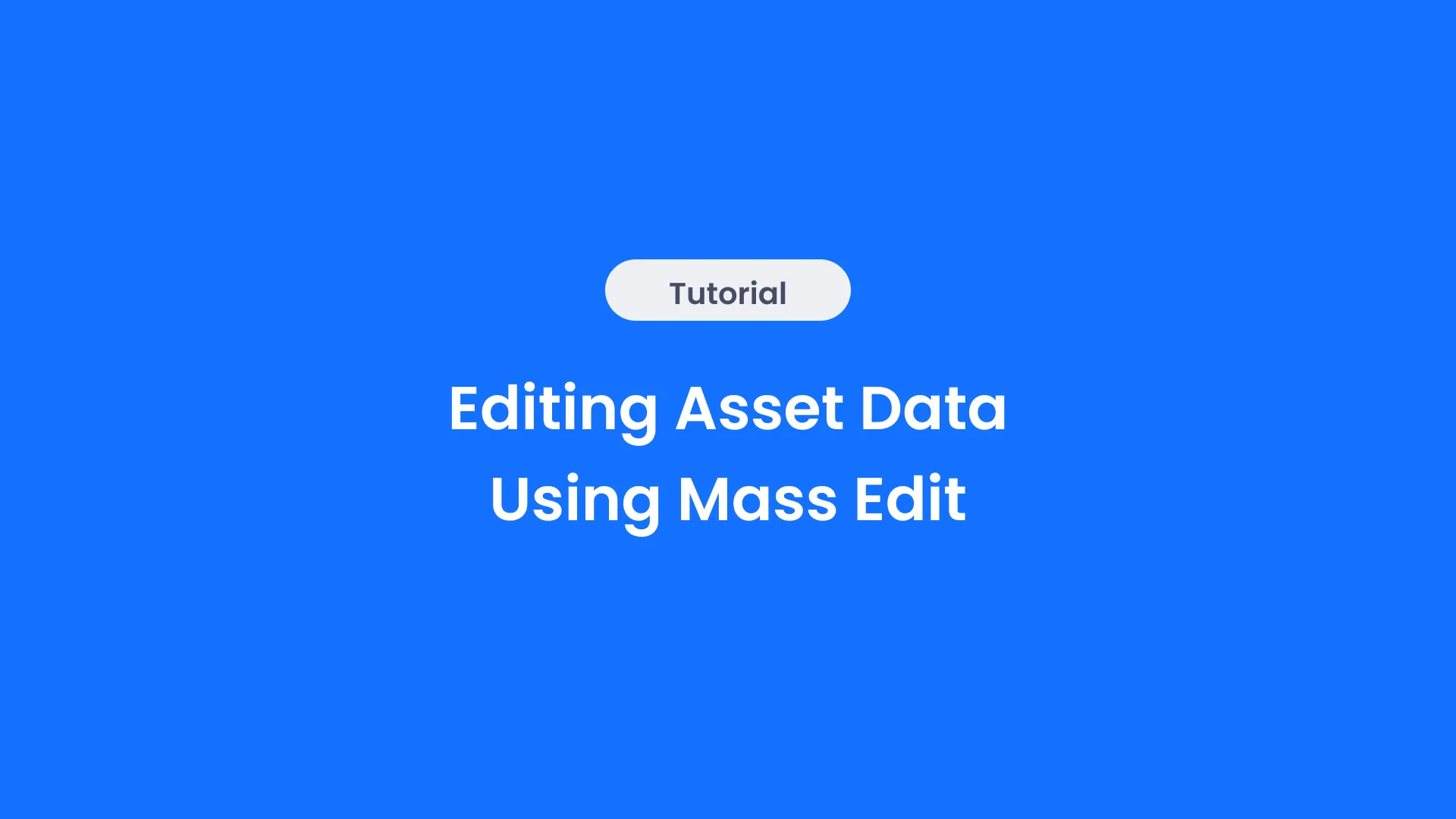 Editing Asset Data Using Mass Edit