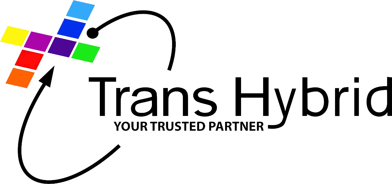 work experience Hafiz Ramadhan at Trans Hybrid